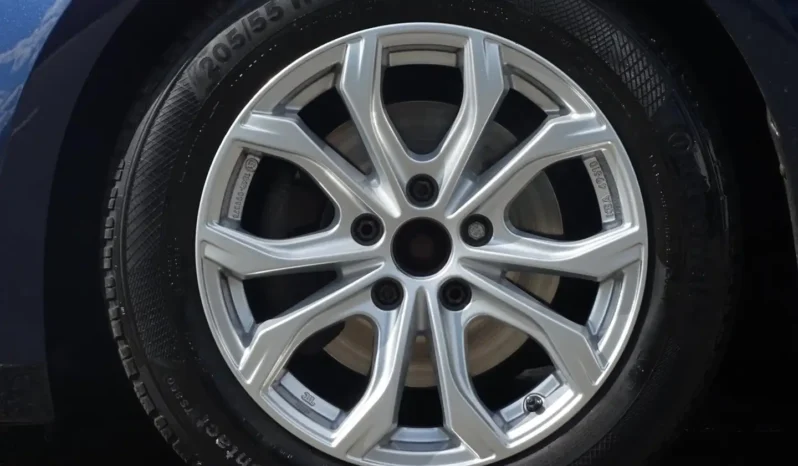 Volkswagen Golf 1.6 TDI HIGHLINE – R LINE – PANORAMADAK ( 3990€ ) complet